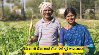 किसानों बैंक खाते में आएंगे पूरे ₹12,000, बस तुरंत कर लें ये एक काम - MP Farmers Scheme Update